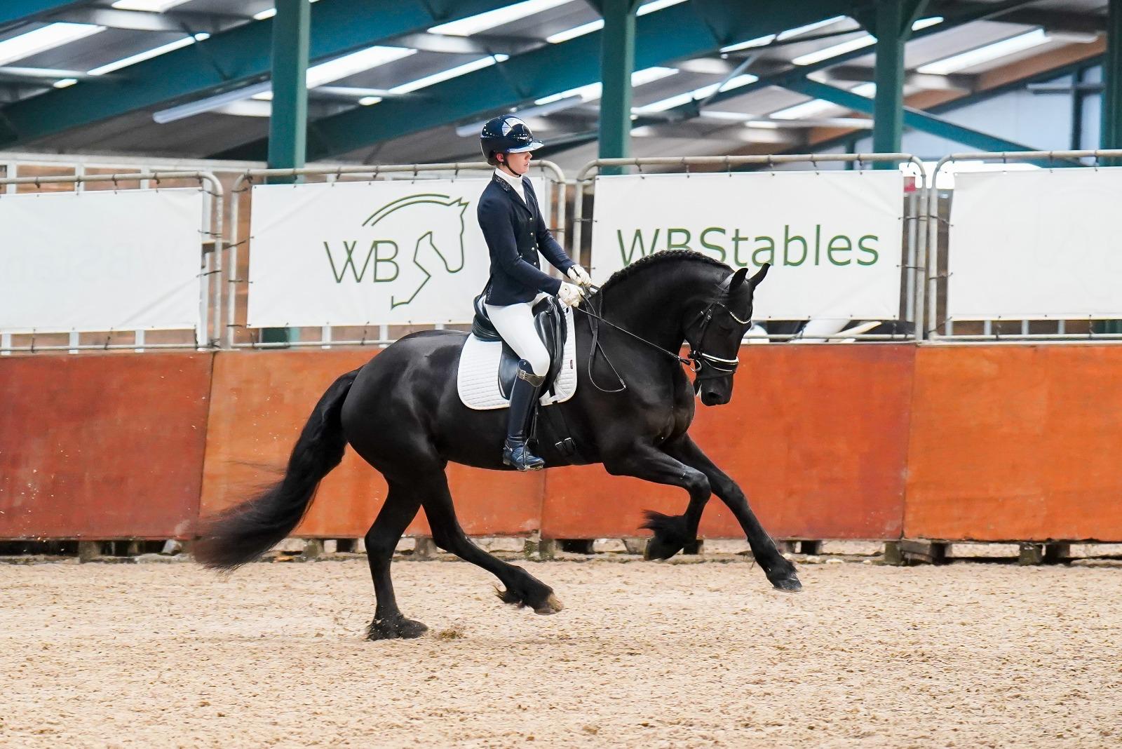 Jongsma Sport Horses - Overige Diensten